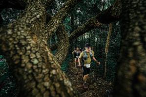 BIB: 
                            <button type="button" onclick="openModal(25698090)" class="btn btn-primary btn-sm float-right btn-popup" data-toggle="modal" data-target=".modal-high-quality">
                        <i class="fas fa-shopping-cart"></i> Add to Cart
                    </button>
                                            <button type="button" onclick="isThisMe(25698090, true)" class="btn btn-success btn-sm float-right btn-popup btn-isme hidden" data-toggle="tooltip" data-placement="bottom" title="นี่คือรูปของคุณใช่ไหม คลิกที่นี่เพื่อเอาเข้าอัลบั้ม">
                        <i class="fas fa-plus"></i> Add to album
                    </button>
                    <button type="button" onclick="isThisMe(25698090, false)" class="btn btn-warning btn-sm float-right btn-popup btn-isnotme hidden">
                        <i class="fas fa-ban"></i> Remove from album
                    </button>